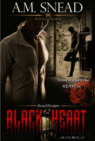 Black Heart (Soulscape #2) by A.M. Snead