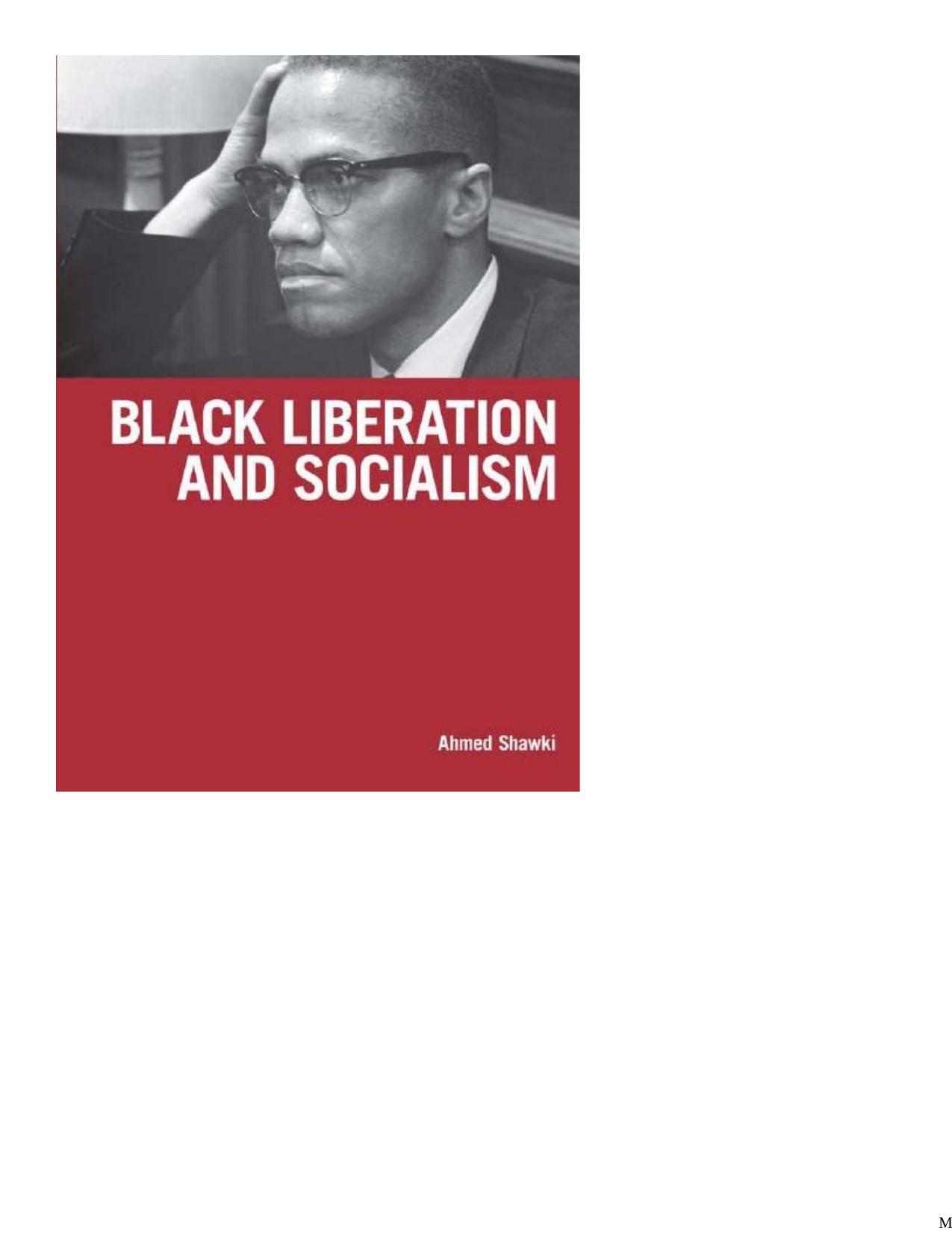 Black Liberation and Socialism by knights of imhotep