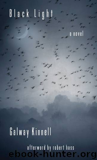 Black Light by Galway Kinnell