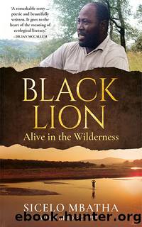 Black Lion by Sicelo Mbatha