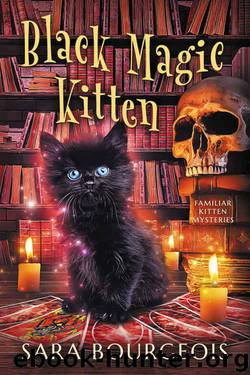 Black Magic Kitten by Sara Bourgeois