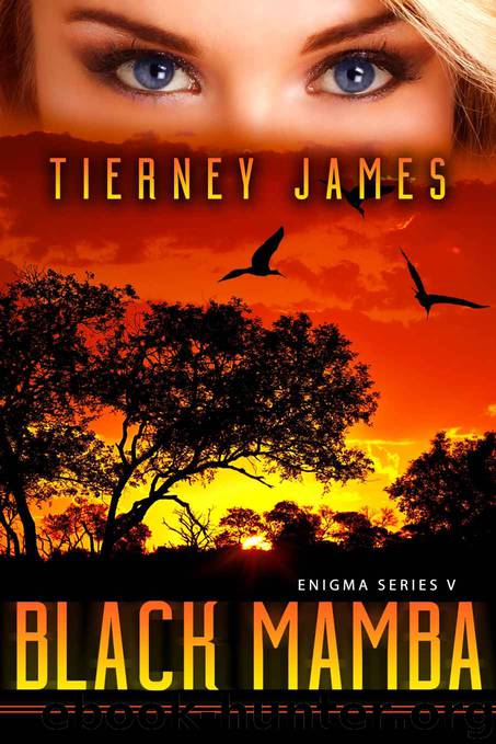 Black Mamba by Tierney James
