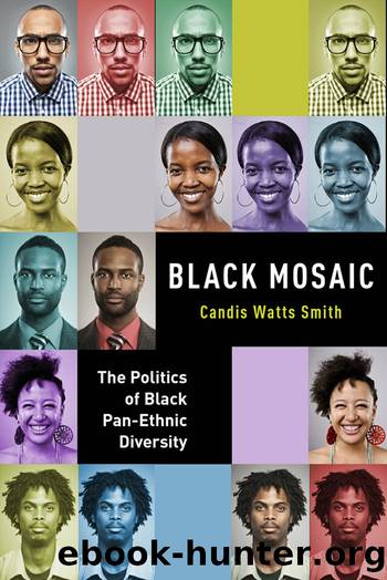Black Mosaic by Candis Watts Smith