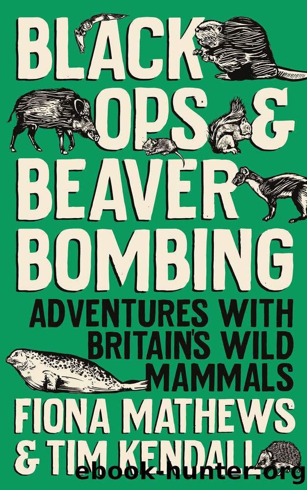 Black Ops and Beaver Bombing by Fiona Mathews and Tim Kendall