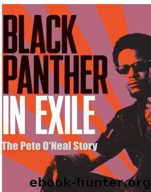 Black Panther in Exile by Magnarella Paul J.;