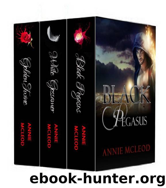 Black Pegasus Boxed Set by Annie McLeod