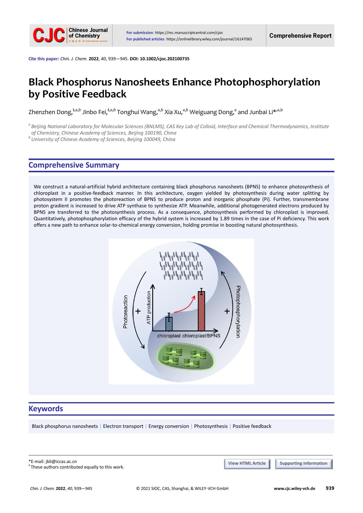 Black Phosphorus Nanosheets Enhance Photophosphorylation by Positive Feedback by Dong Zhenzhen