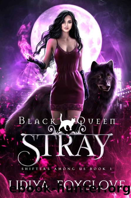 Black Queen: Stray: Fated Mates Paranormal Shifter Romance (Shifters Among Us Book 1) by Lidiya Foxglove