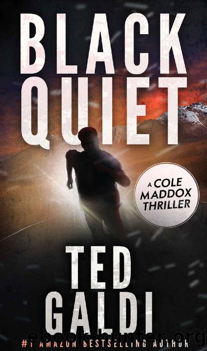 Black Quiet: A Cole Maddox Action Thriller by Ted Galdi