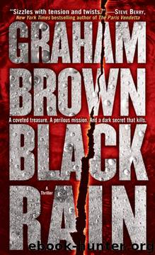 Black Rain (2010) by Brown Graham