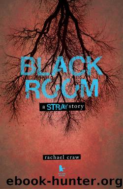 Black Room by Rachael Craw