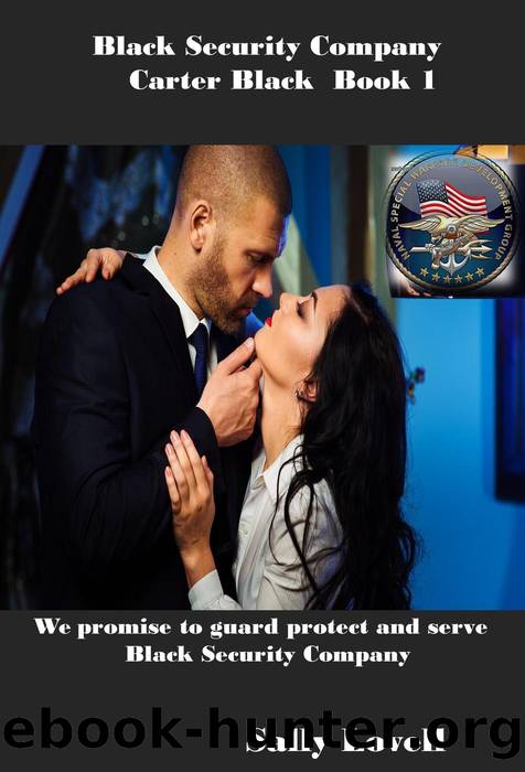 Black Security Company Carter Black Book 1 by Sally Lovell