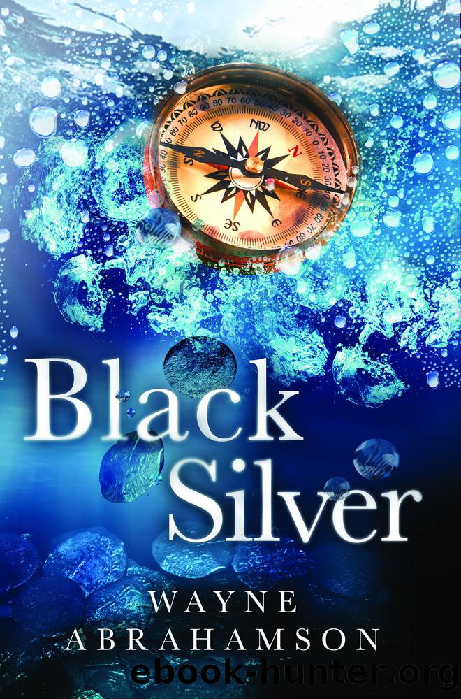 Black Silver by Wayne Abrahamson
