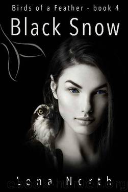 Black Snow by Lena North