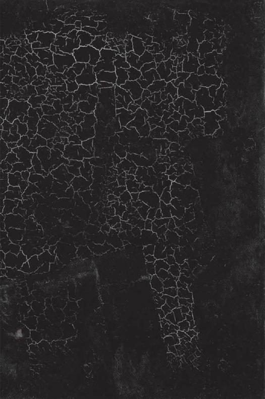Black Square: Malevich and the Origin of Suprematism by Aleksandra Shatskikh Marian Schwartz