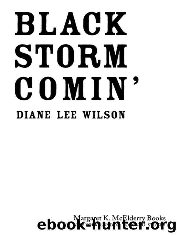 Black Storm Comin' by Diane Lee Wilson