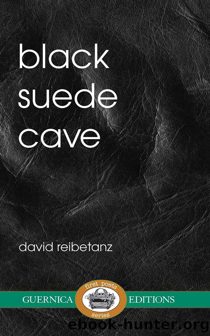 Black Suede Cave by David Reibetanz