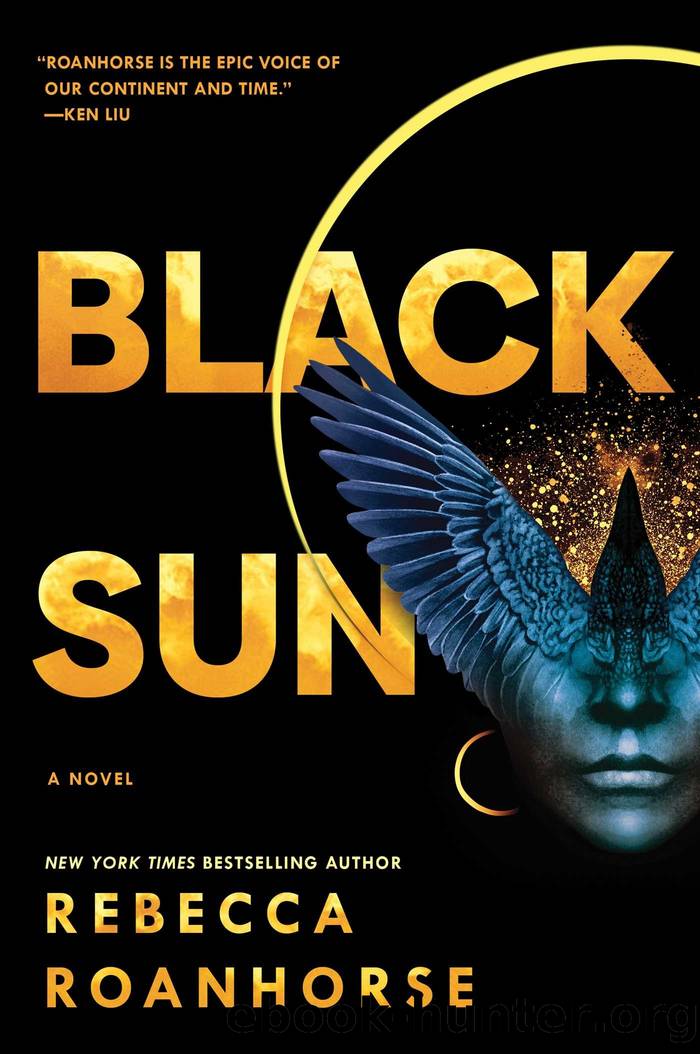 Black Sun by unknow