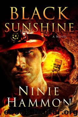 Black Sunshine: A Novel by Ninie Hammon