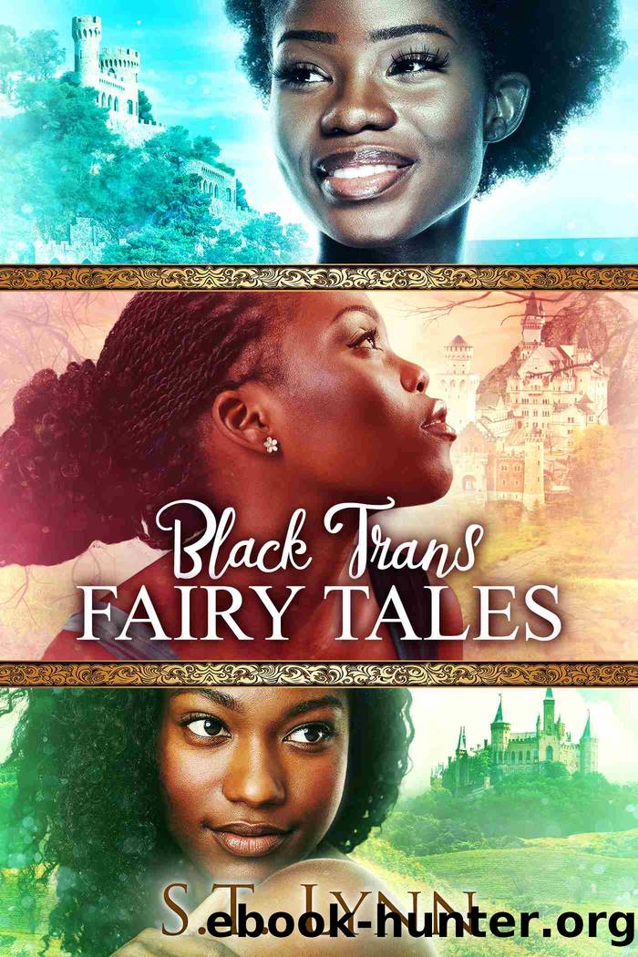 Black Trans Fairy Tales by S.T. Lynn