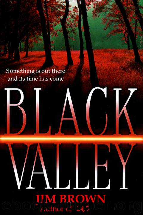 Black Valley by Jim Brown