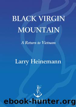 Black Virgin Mountain by Larry Heinemann