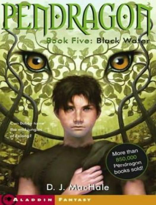 Black Water by D.J. MacHale