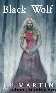 Black Wolf (Black Wolf Series Book 1) by J. E. Martin