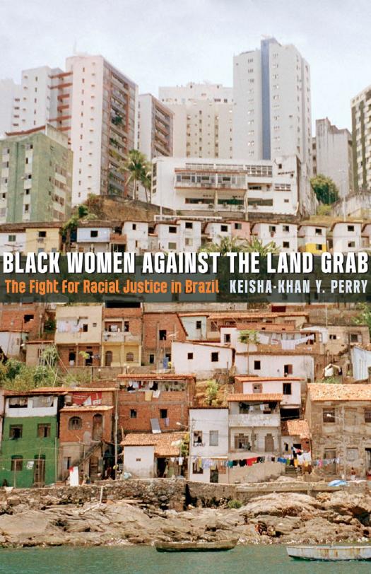 Black Women against the Land Grab: The Fight for Racial Justice in Brazil by Keisha-Khan Y. Perry