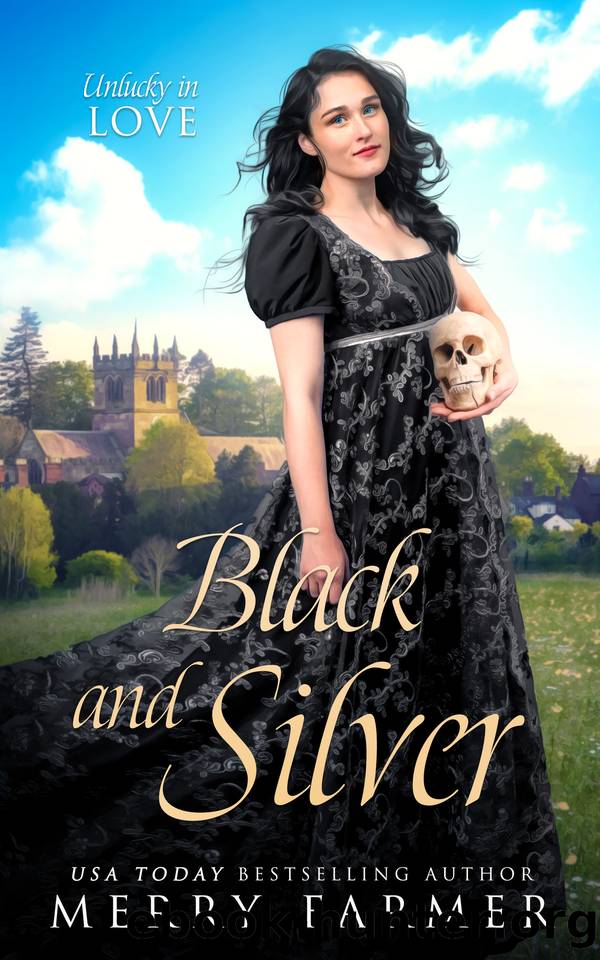 Black and Silver by Merry Farmer