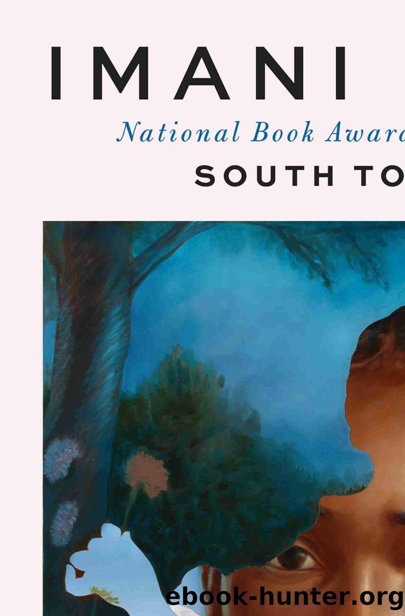 Black in Blues by Imani Perry