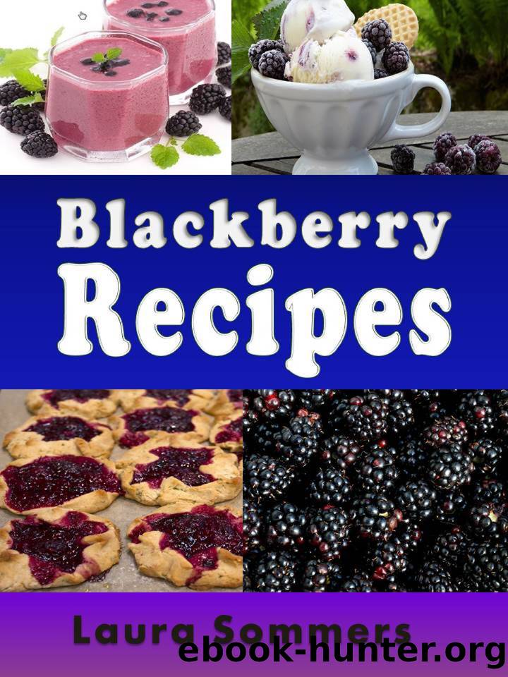 Blackberry Recipes by Laura Sommers