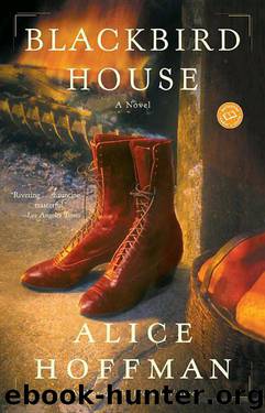 Blackbird House by Alice Hoffman