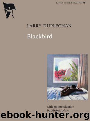 Blackbird by Larry Duplechan