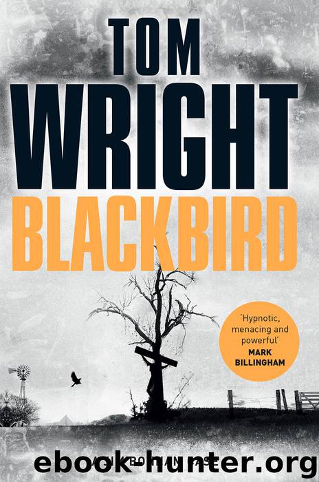 Blackbird by Tom Wright