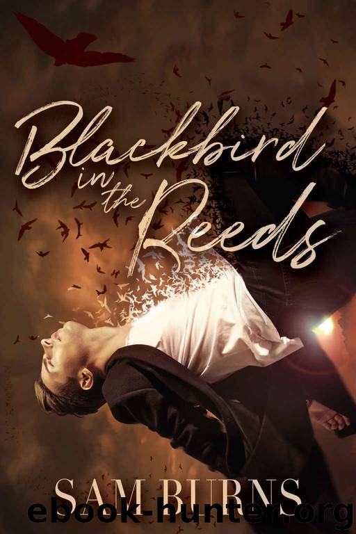 Blackbird in the Reeds (The Rowan Harbor Cycle Book 1) by Sam Burns