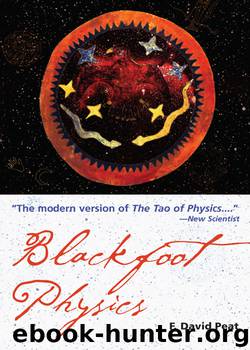 Blackfoot Physics by David Peat