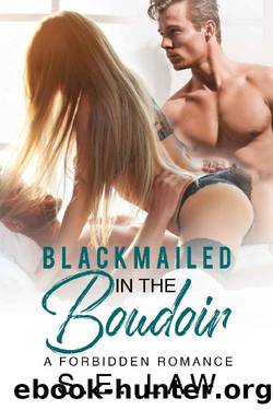 Blackmailed in the Boudoir by S E Law