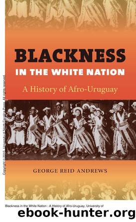 Blackness in the White Nation : A History of Afro-Uruguay by George Reid. Andrews