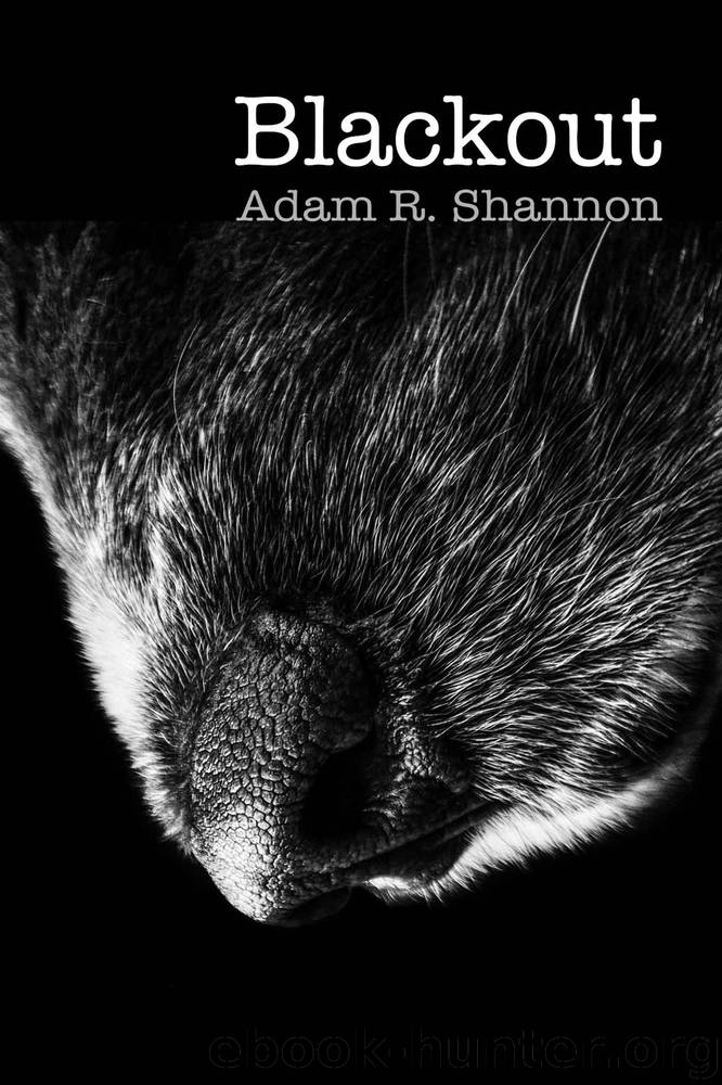 Blackout by Adam R. Shannon