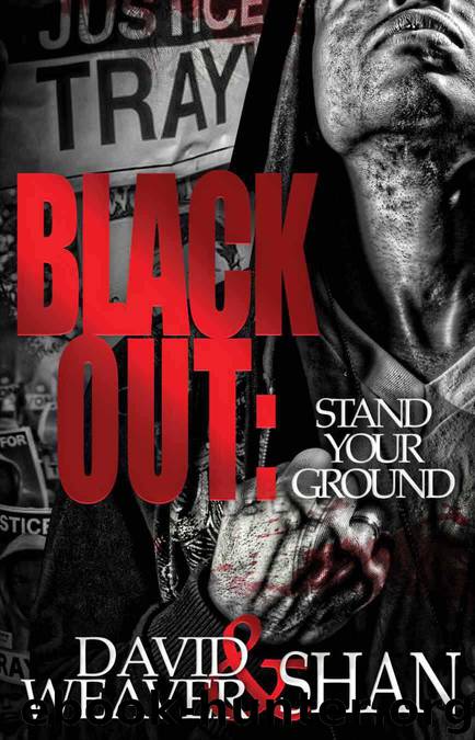 Blackout: Stand Your Ground by Weaver David & Shan