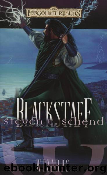 Blackstaff by Steven E. Schend