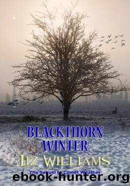 Blackthorn Winter by Liz Williams