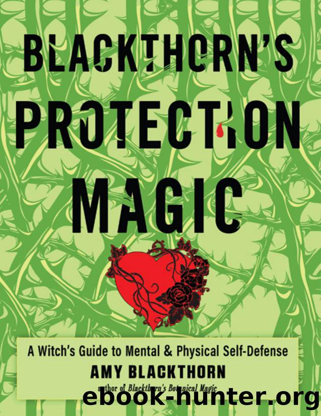 Blackthorn's Protection Magic by Blackthorn Amy;