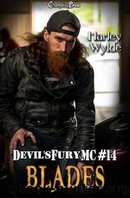 Blades (Devilâs Fury MC 14) by Harley Wylde