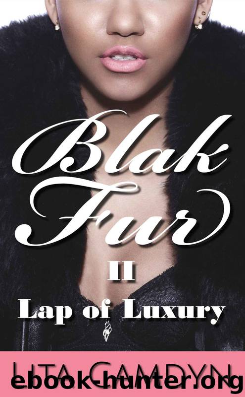 Blak Fur 2: Lap of Luxury: BWWM Interracial Erotic Romance by Lita Camdyn