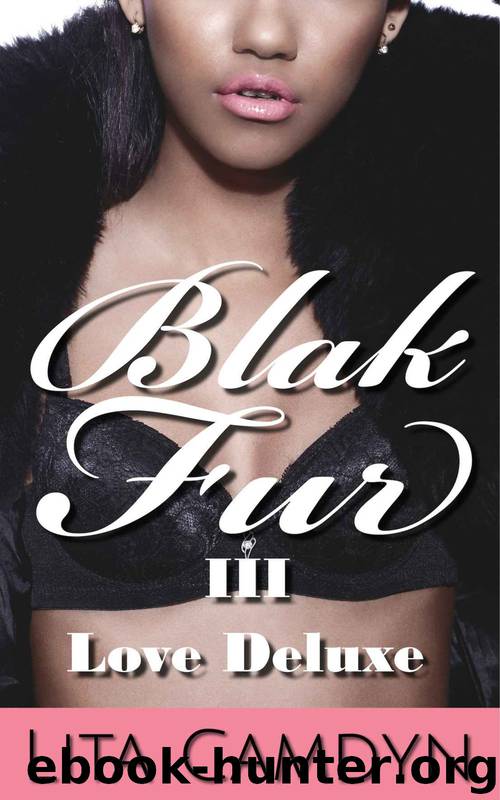Blak Fur 3: Love DeLuxe (BWWM Interracial Erotic Romance): BWWM by Lita Camdyn