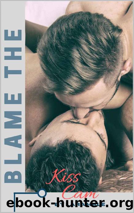 Blame The Kiss Cam by Lara Hale