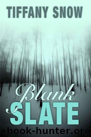 Blank Slate by Snow Tiffany