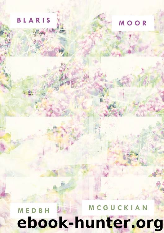 Blaris Moor by Medbh McGuckian